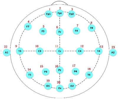 Classification and transfer learning of sleep spindles based on convolutional neural networks